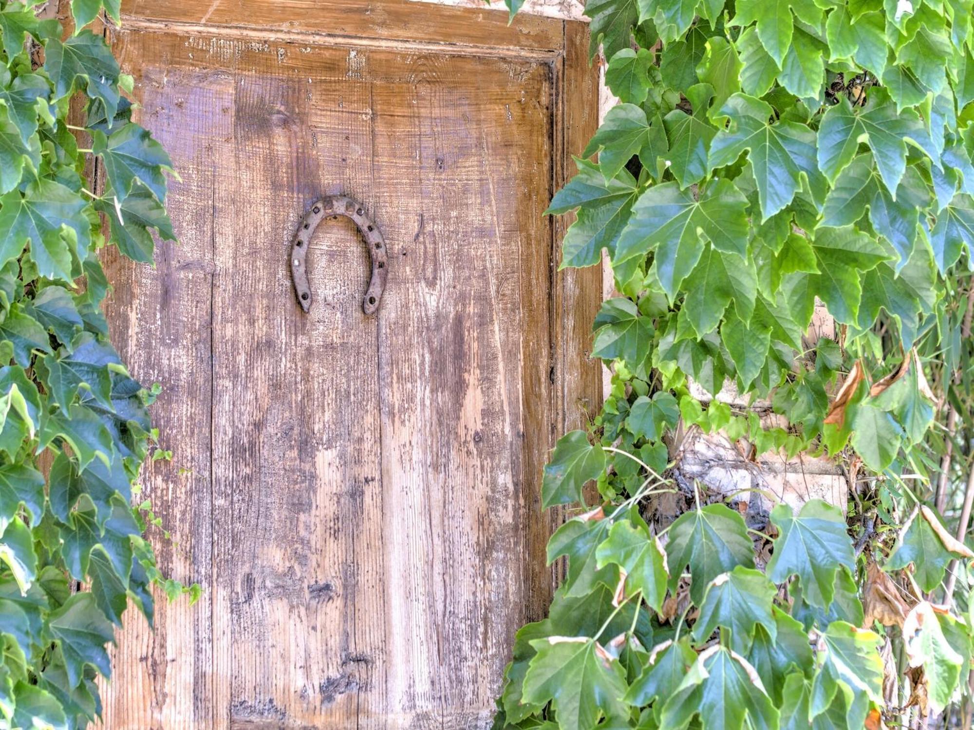 Farmhouse In Marsciano With Vineyards Olive Groves Buitenkant foto
