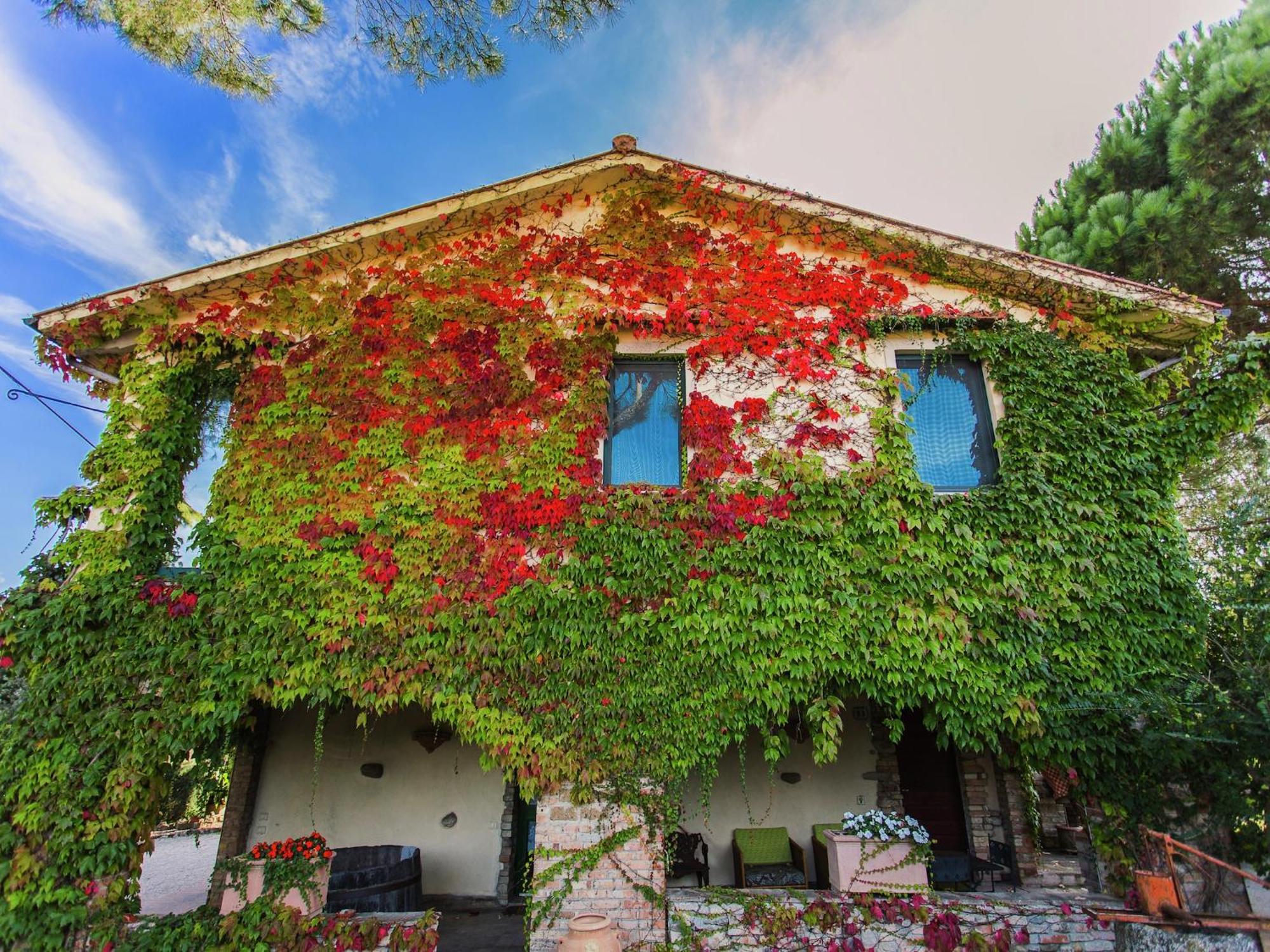 Farmhouse In Marsciano With Vineyards Olive Groves Buitenkant foto